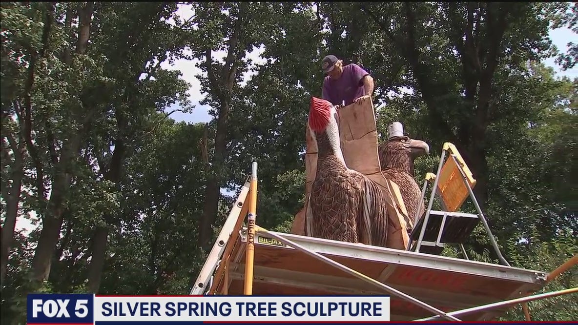 Tree sculpture attracting attention in Silver Spring neighborhood
